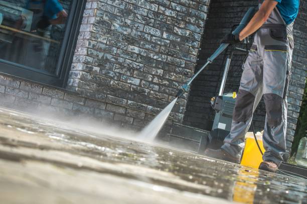 Best Animal Enclosure Cleaning  in Mayville, MI