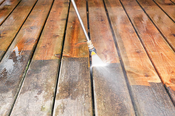 Professional  Pressure Washing Services in Mayville, MI